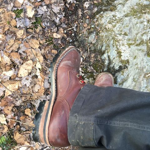 Nicks Urban Logger in Seidel MaxSupport Chocolate