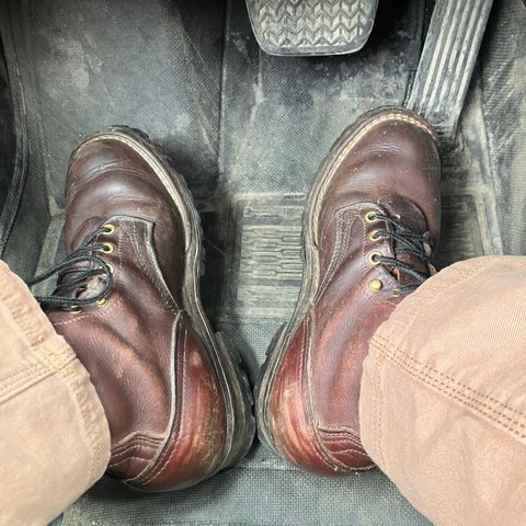 Nicks Urban Logger in Seidel MaxSupport Chocolate