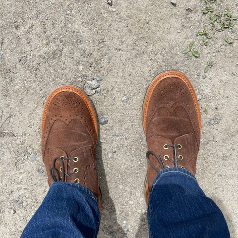 Search result thumbnail of Tricker's Stow Country Boot in C.F. Stead Brown Repello Calf Suede