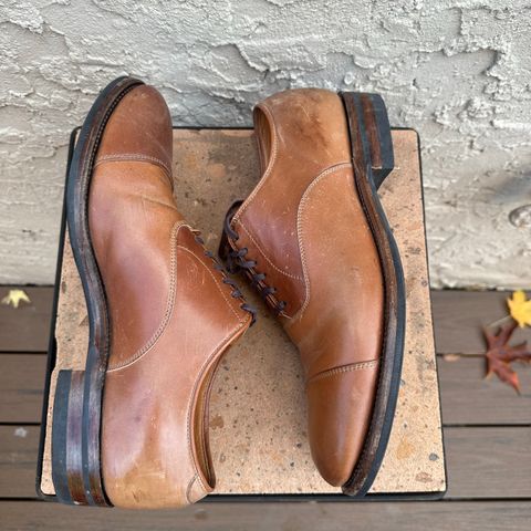 Viberg Bastion Oxford in Horween Natural Shell Cordovan