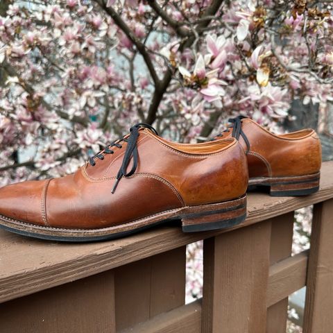 View photo of Viberg Bastion Oxford in Horween Natural Shell Cordovan