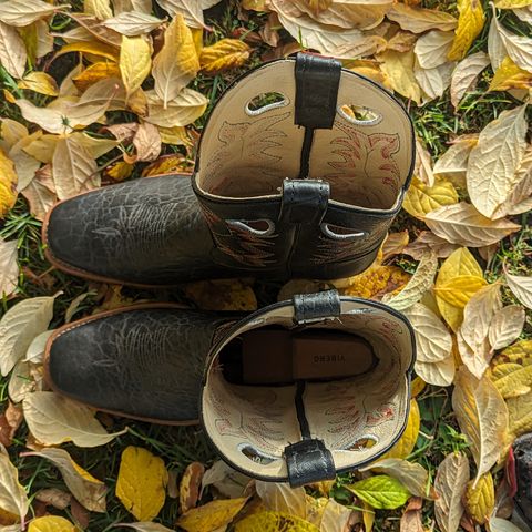 Canada West Brahma 6563-6 in Unknown Leather