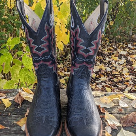 Canada West Brahma 6563-6 in Unknown Leather