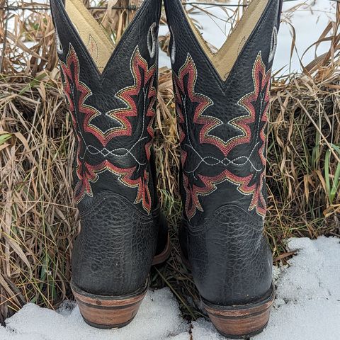 Canada West Brahma 6563-6 in Unknown Leather