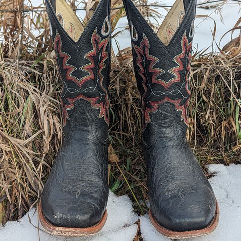 Canada West Brahma 6563-6 in Unknown Leather