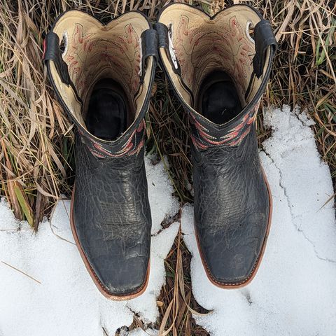 Canada West Brahma 6563-6 in Unknown Leather