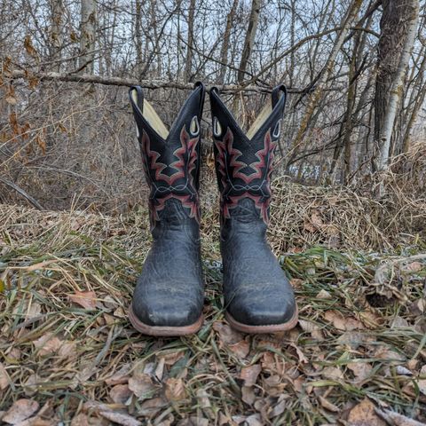 Canada West Brahma 6563-6 in Unknown Leather