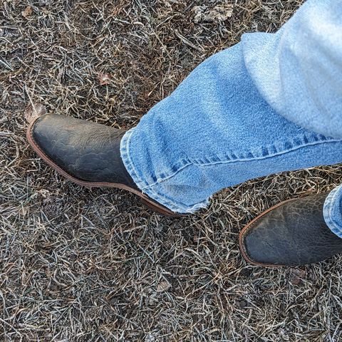 Canada West Brahma 6563-6 in Unknown Leather