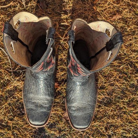 Canada West Brahma 6563-6 in Unknown Leather