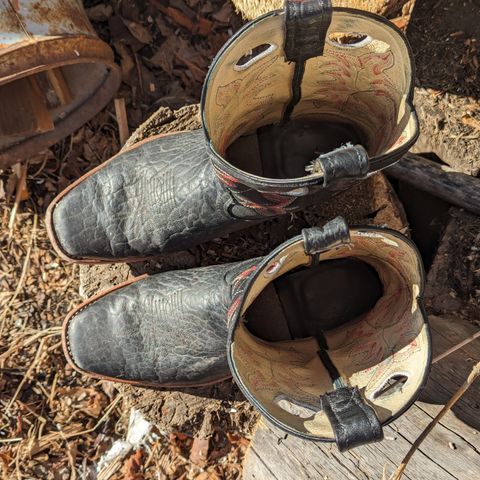 Canada West Brahma 6563-6 in Unknown Leather