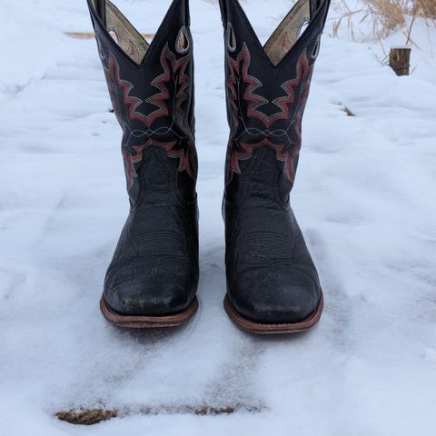 Canada West Brahma 6563-6 in Unknown Leather