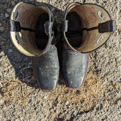 Canada West Brahma 6563-6 in Unknown Leather