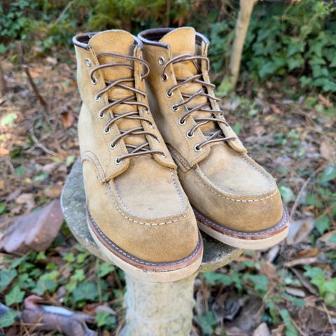 View photo of Red Wing 6-Inch Classic Moc in S.B. Foot Hawthorne Abilene