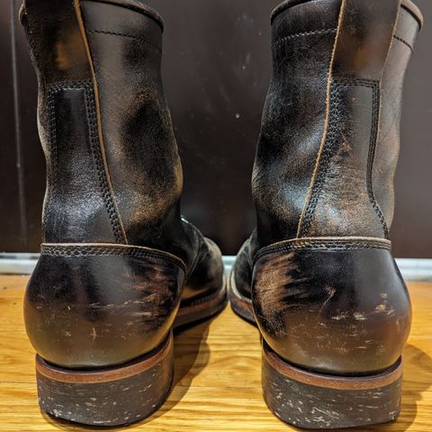 Flame Panda Boondocker in Shinki Black Teacore Horsebutt