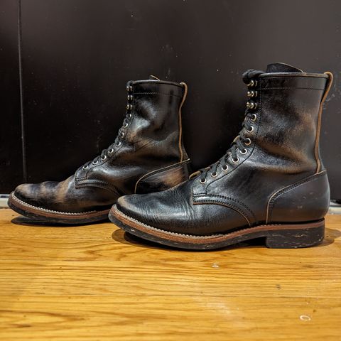 Flame Panda Boondocker in Shinki Black Teacore Horsebutt
