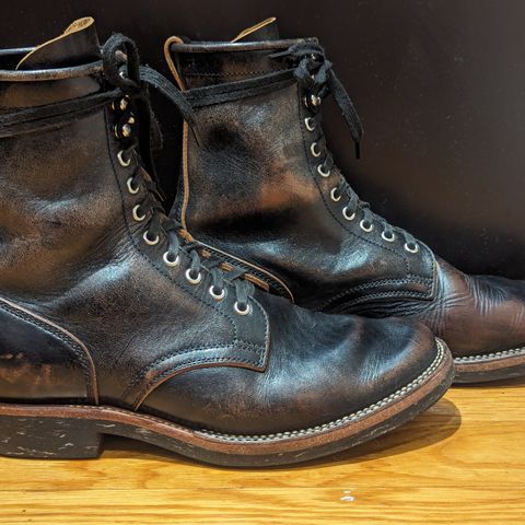 Flame Panda Boondocker in Shinki Black Teacore Horsebutt