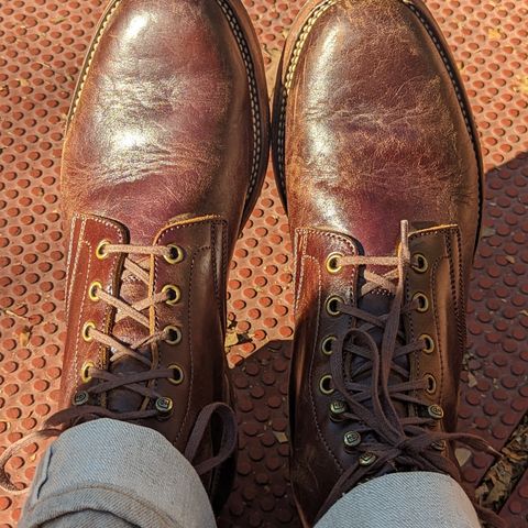 Flame Panda Service Boot in Shinki Chocolate Antique Horsehide