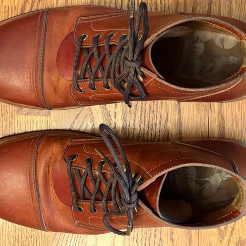 Jakkrabbits Service Boot in Badalassi Carlo Olmo Minerva