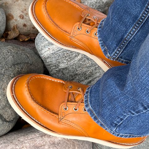 View photo of Red Wing 6-Inch Classic Moc in S.B. Foot Sequoia Gold Russet