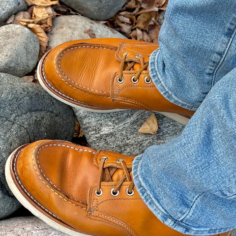 View photo of Red Wing 6-Inch Classic Moc in S.B. Foot Sequoia Gold Russet