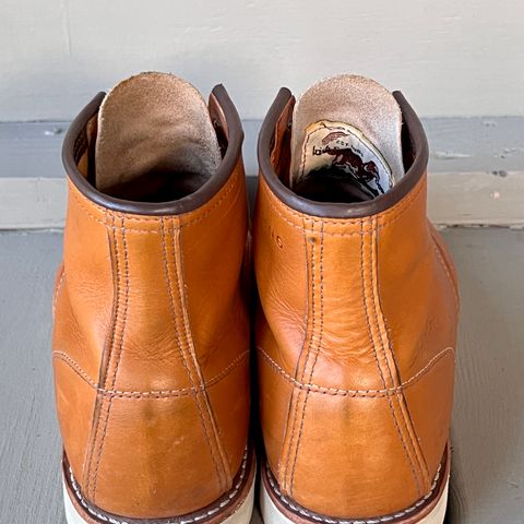 View photo of Red Wing 6-Inch Classic Moc in S.B. Foot Sequoia Gold Russet