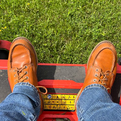 View photo of Red Wing 6-Inch Classic Moc in S.B. Foot Sequoia Gold Russet