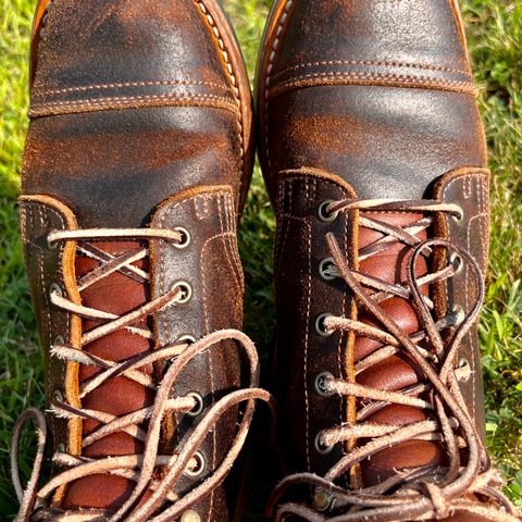 View photo of Truman Service Boot in Horween Java Waxed Flesh