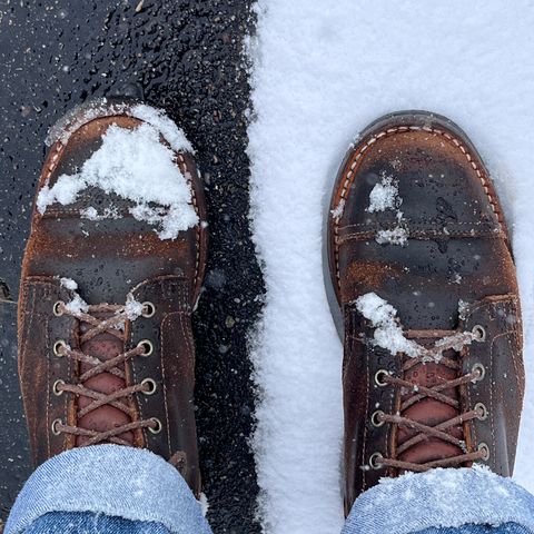 View photo of Truman Service Boot in Horween Java Waxed Flesh