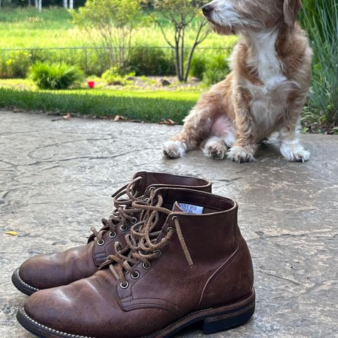 Viberg Service Boot in Maryam Toscanello Horsebutt