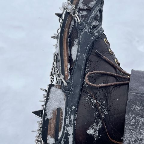 Viberg Service Boot PCT in Horween Natural Bison