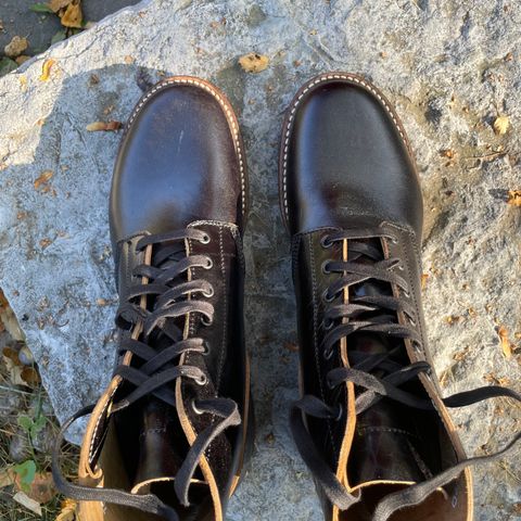 John Lofgren M-43 Service Shoes in Shinki Black Teacore Horsebutt