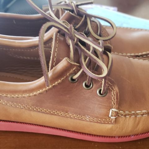 Quoddy Blucher