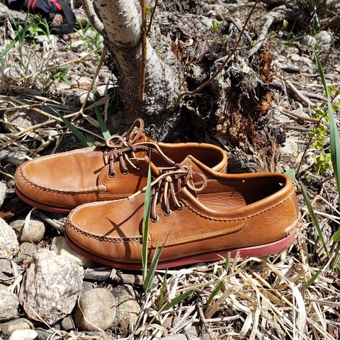 Quoddy Blucher