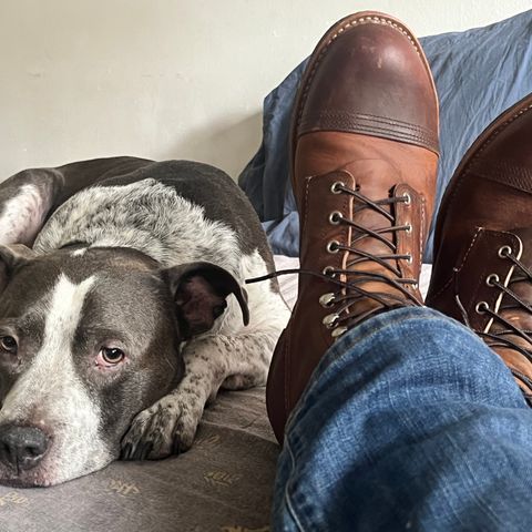Red Wing Iron Ranger in S.B. Foot Copper Rough and Tough