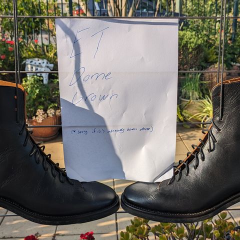 Briselblack The Buck Wholecut Lace to Toe in Shinki Black Latigo Teacore Horsehide