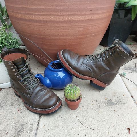 Jakkrabbits Field Boots in Badalassi Carlo Oliva Pueblo