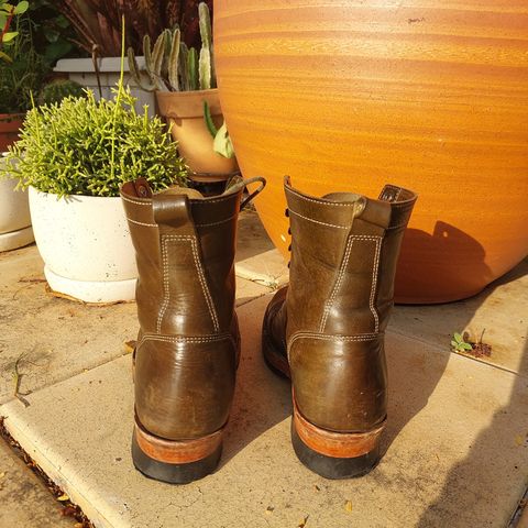 Jakkrabbits Field Boots in Badalassi Carlo Oliva Pueblo