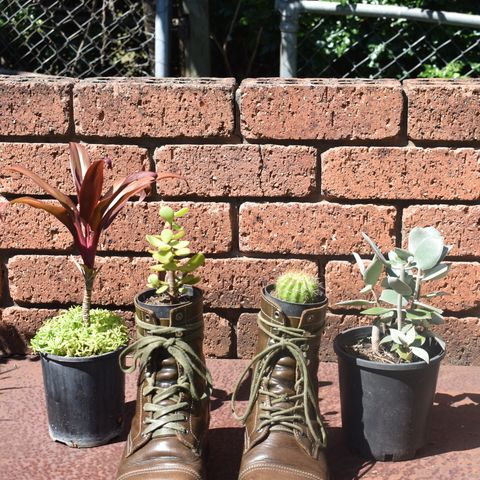 Jakkrabbits Field Boots in Badalassi Carlo Oliva Pueblo