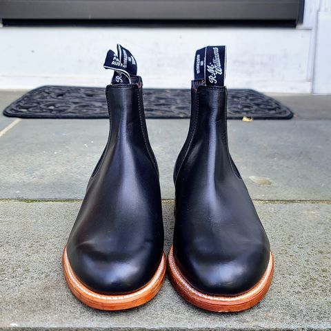 R.M. Williams Classic Turnout Boot in Black Yearling