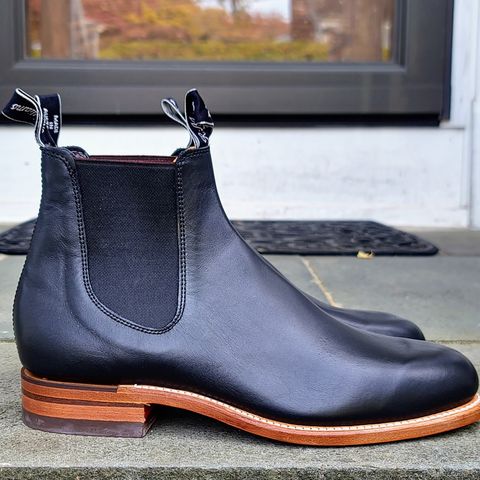 R.M. Williams Classic Turnout Boot in Black Yearling