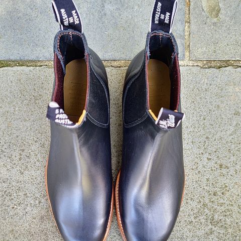 R.M. Williams Classic Turnout Boot in Black Yearling