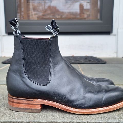 R.M. Williams Classic Turnout Boot in Black Yearling