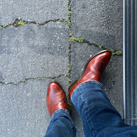 View photo of Lucchese Cowboy Boots in Bison