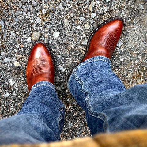 Lucchese Cowboy Boots in Bison
