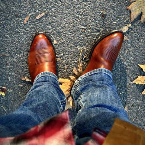 Lucchese Cowboy Boots in Bison