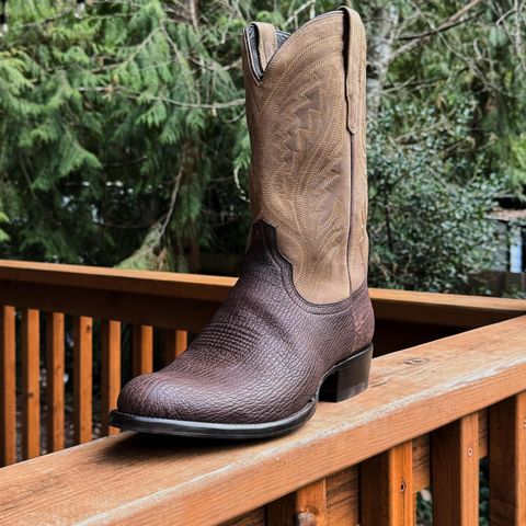 Tecovas The Quintin in Chocolate Shark