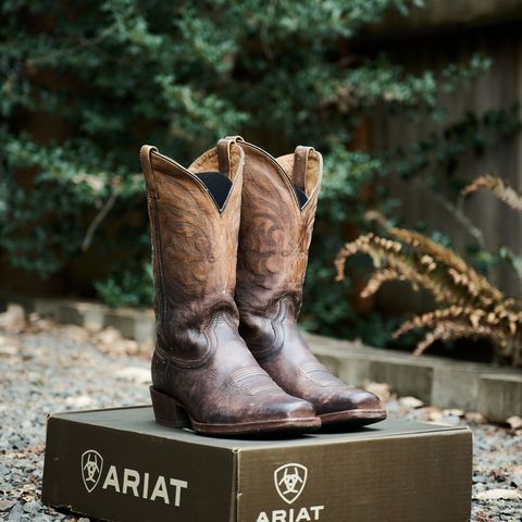 Search result thumbnail of Ariat Breakthrough Ombre - Chocolate in Unknown Material