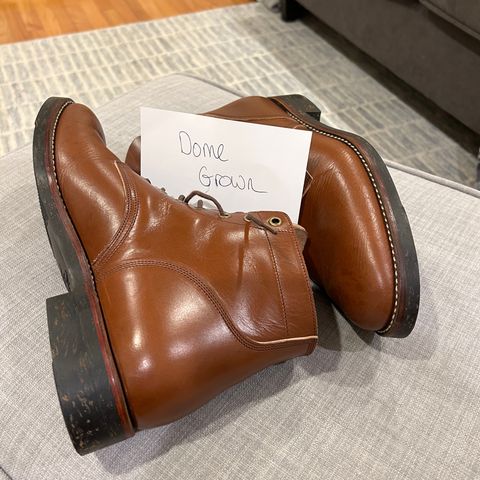 Onderhoud SVC01 Boondocker in Wickett & Craig Conker English Bridle