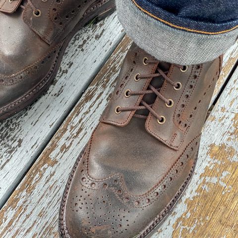 Crockett & Jones Islay in Dark Brown Roughout Suede