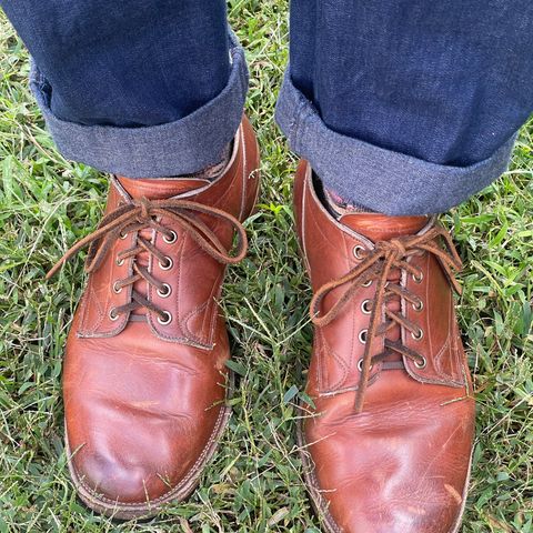 Viberg 145 Oxford in Horween Saddle Tan Chromepak